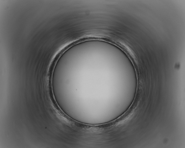 X0000097670779200802290945