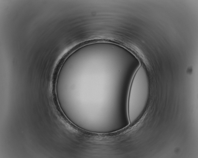 X0000097670780200802290945