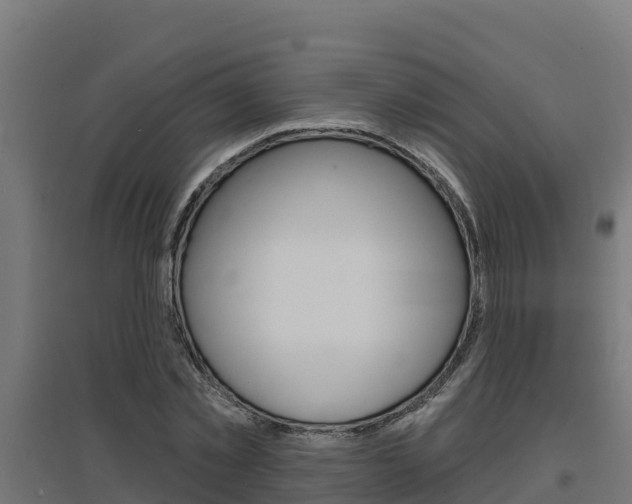 X0000097670781200802290945