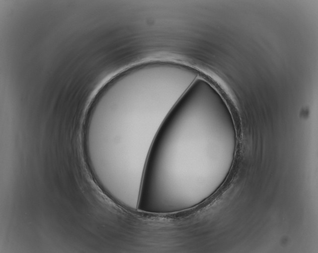 X0000097670783200802290945