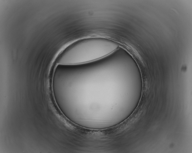 X0000097670784200802290945