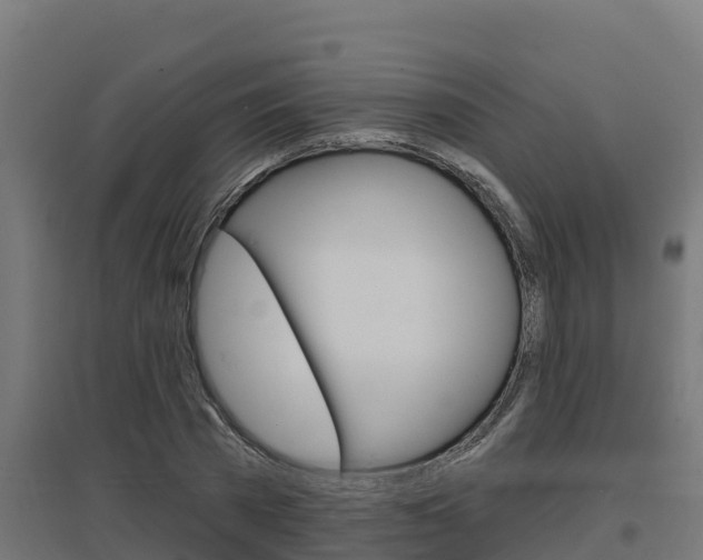 X0000097670785200802290945