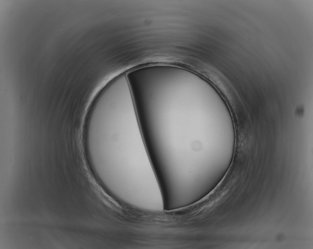 X0000097670787200802290944