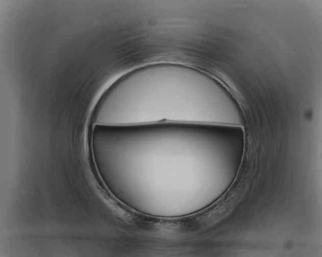 X0000097670788200802290944