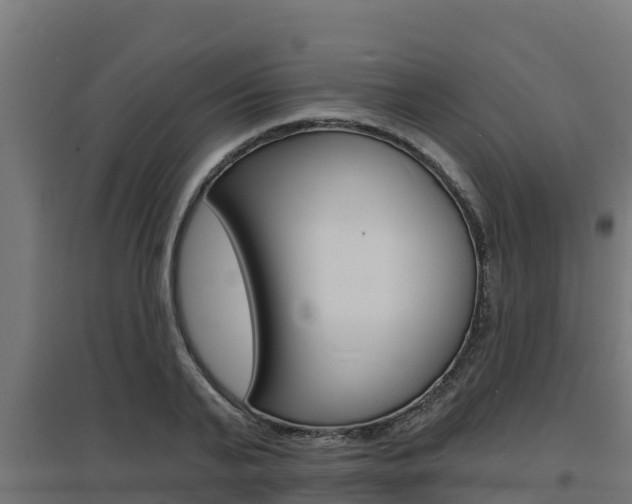 X0000097670791200802290944