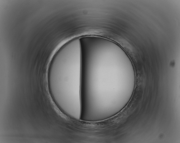 X0000097670792200802290944