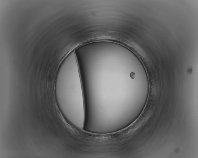 X0000097670793200802290944