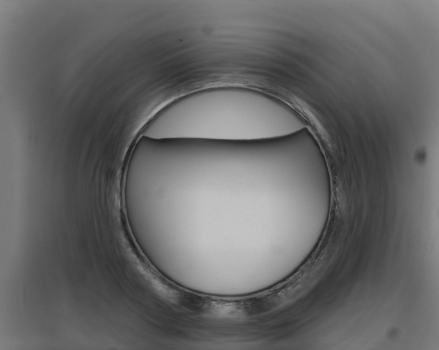 X0000097670794200802290944