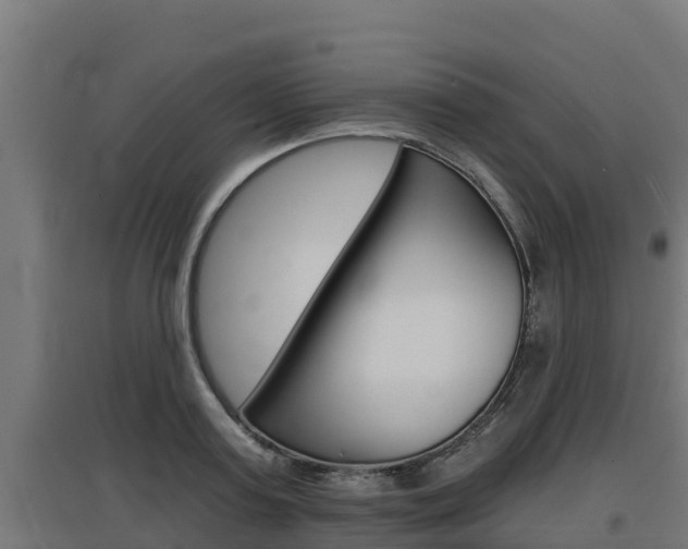 X0000097670795200802290944