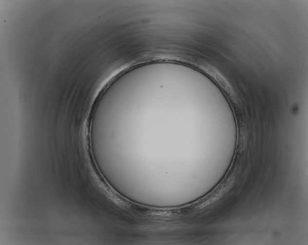 X0000097670798200802290944