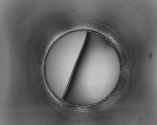 X0000097670799200802290944