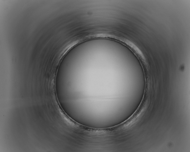 X0000097670801200802290944