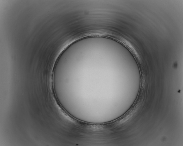 X0000097670802200802290944
