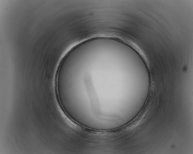 X0000097670803200802290944