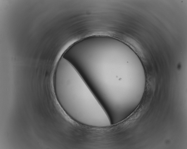X0000097670804200802290944