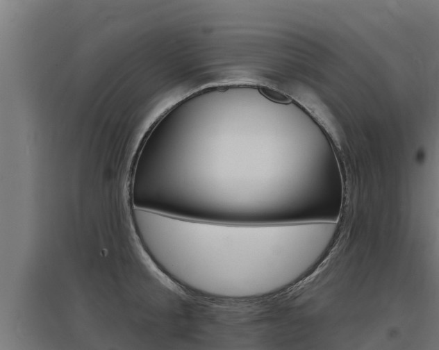 X0000097670805200802290944
