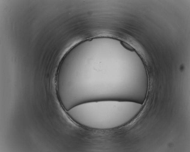 X0000097670806200802290944