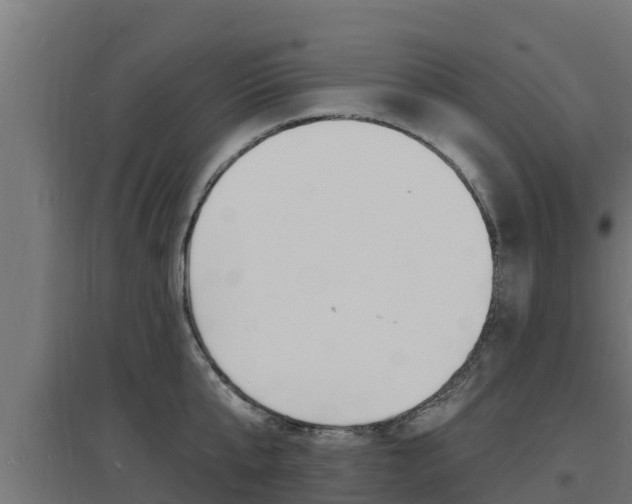 X0000097670807200802290944