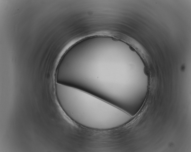 X0000097670808200802290944