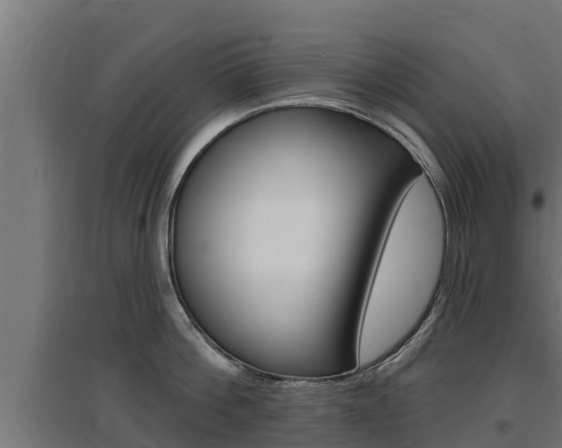 X0000097670812200802290944