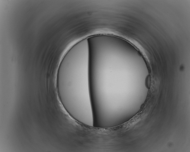 X0000097670815200802290944