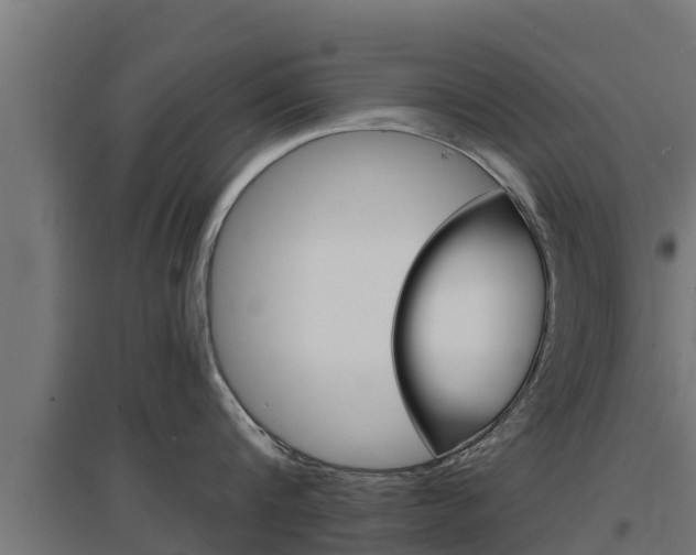 X0000097670816200802290944
