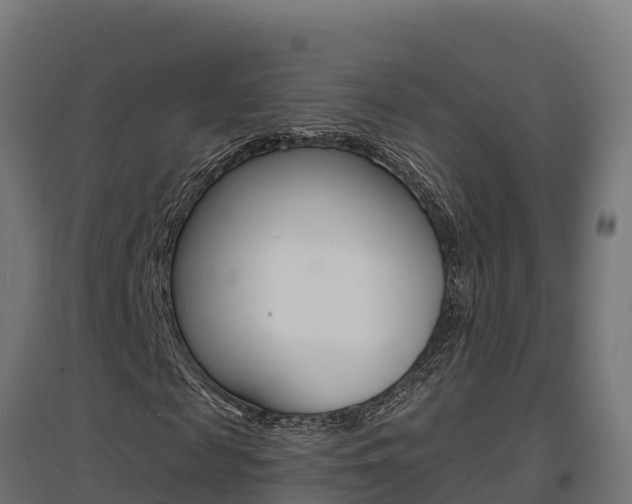 X0000097670817200802290943