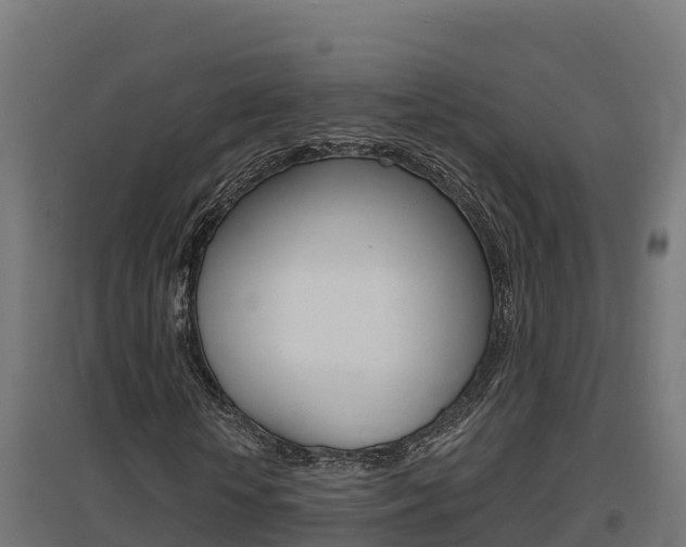 X0000097670818200802290943