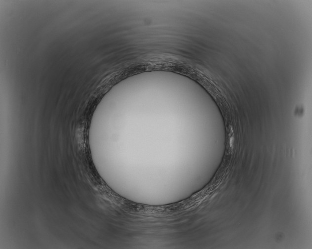 X0000097670819200802290943