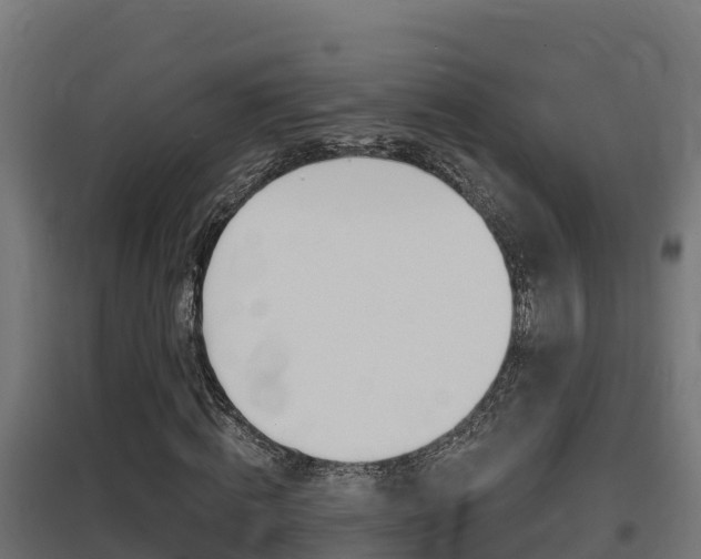 X0000097670820200802290943