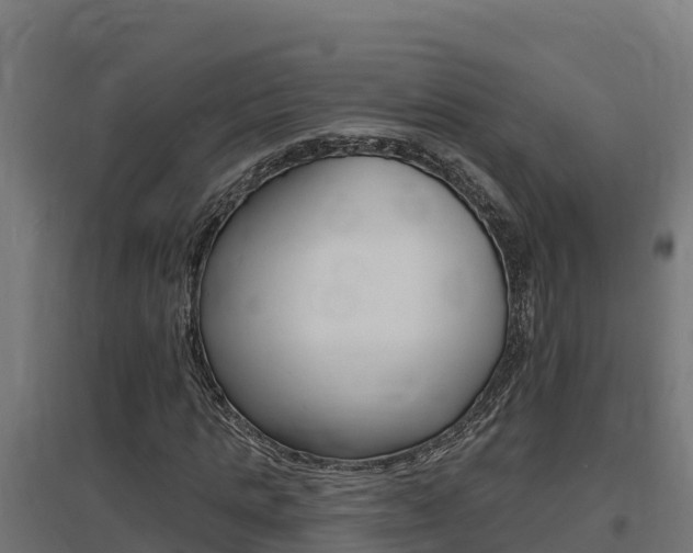 X0000097670821200802290943