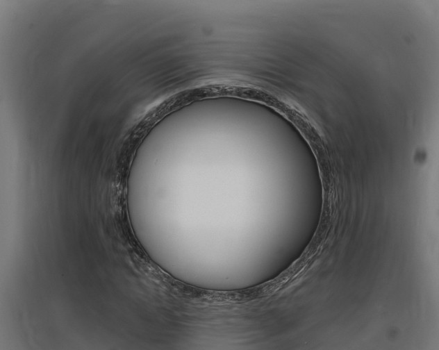 X0000097670822200802290943