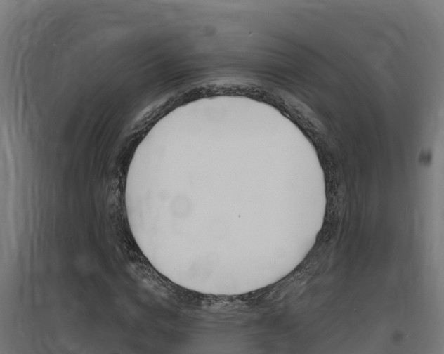 X0000097670824200802290943