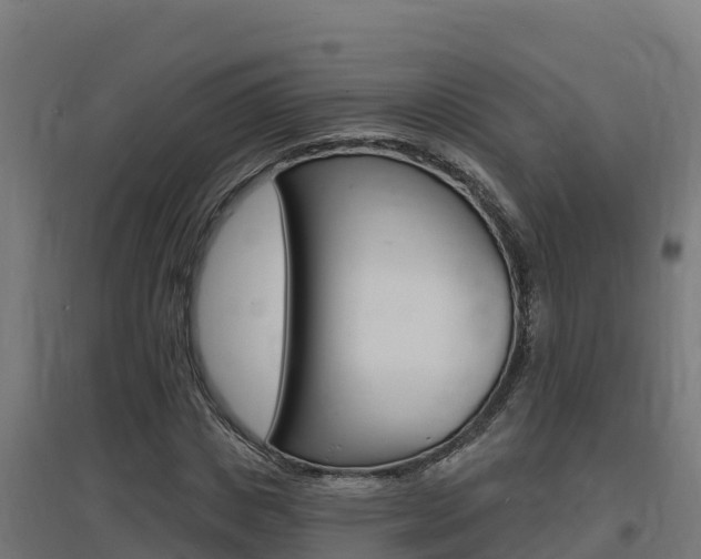 X0000097670825200802290943