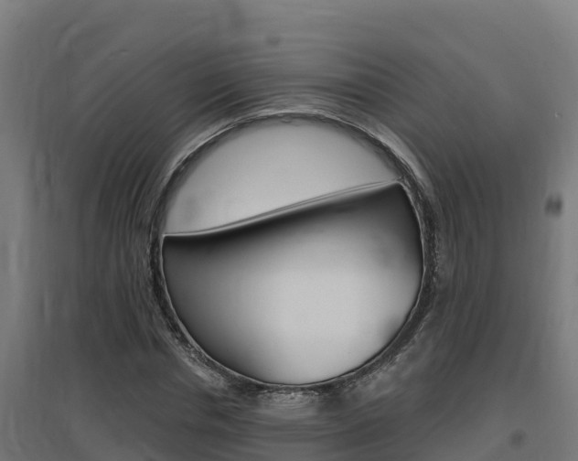 X0000097670826200802290943