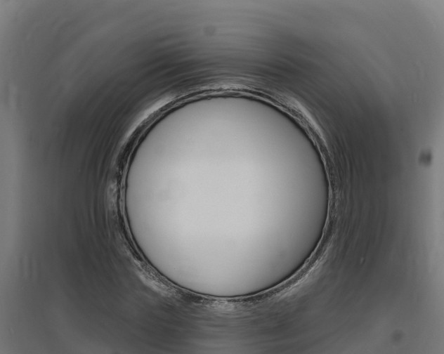 X0000097670827200802290943