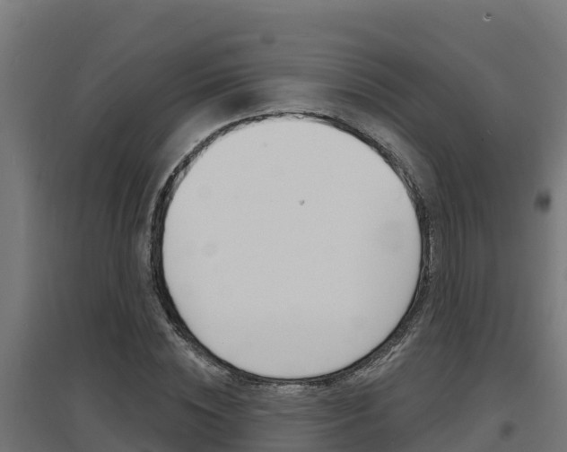 X0000097670828200802290943