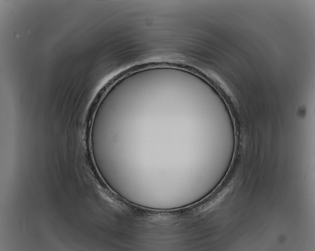 X0000097670830200802290943