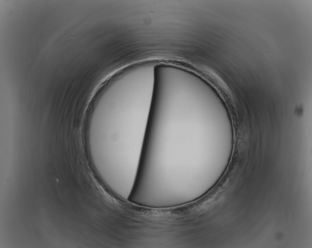 X0000097670831200802290943