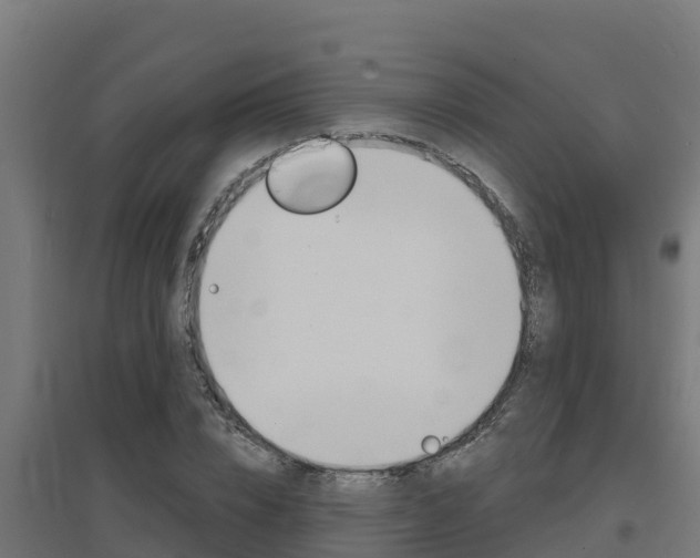 X0000097670832200802290943