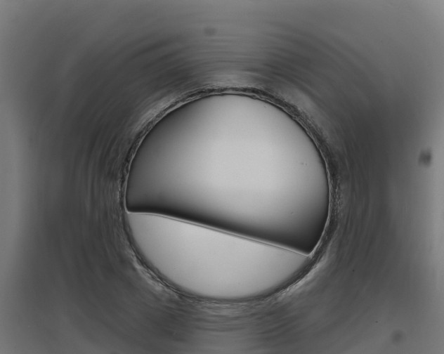 X0000097670833200802290943