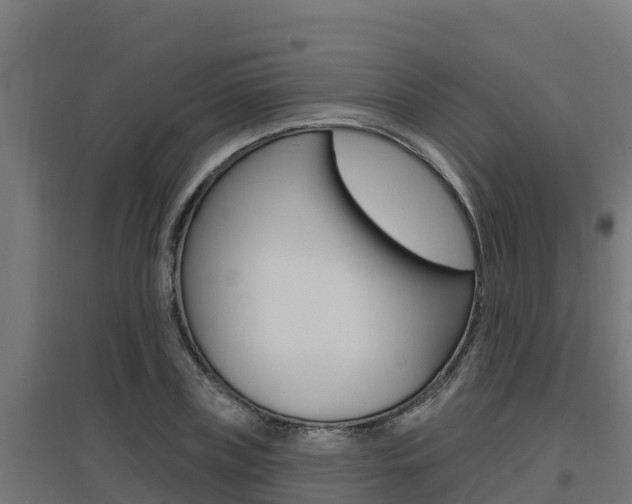 X0000097670835200802290944