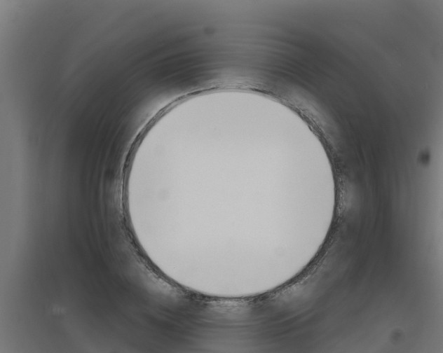 X0000097670836200802290944