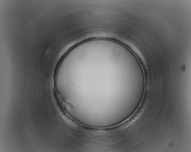 X0000097670837200802290944