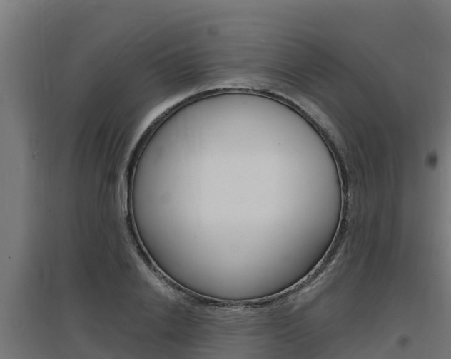 X0000097670838200802290944