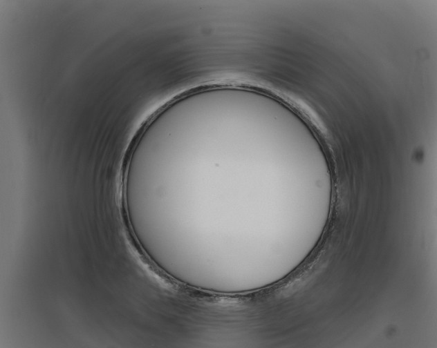 X0000097670839200802290944