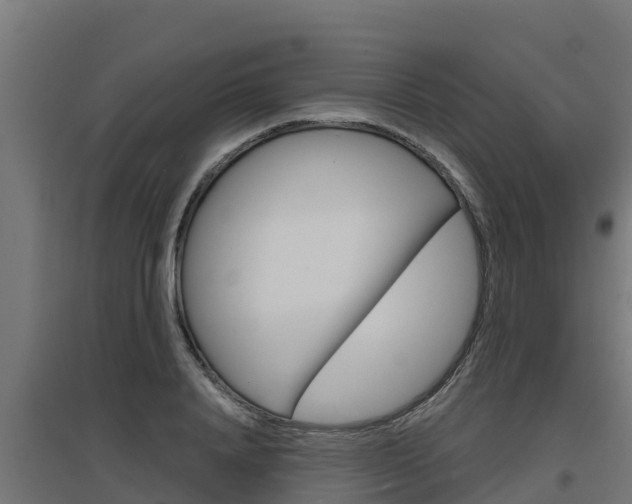 X0000097670840200802290944