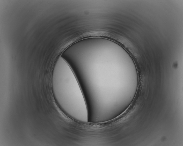 X0000097670841200802290944