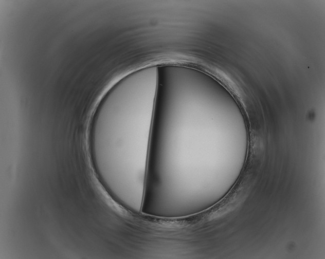 X0000097670843200802290944