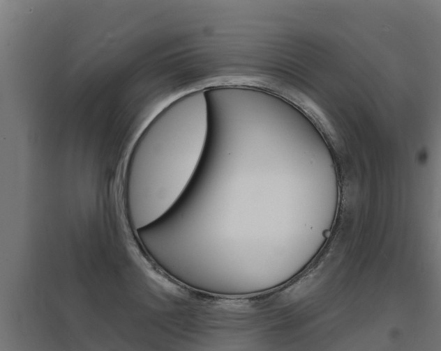 X0000097670844200802290944